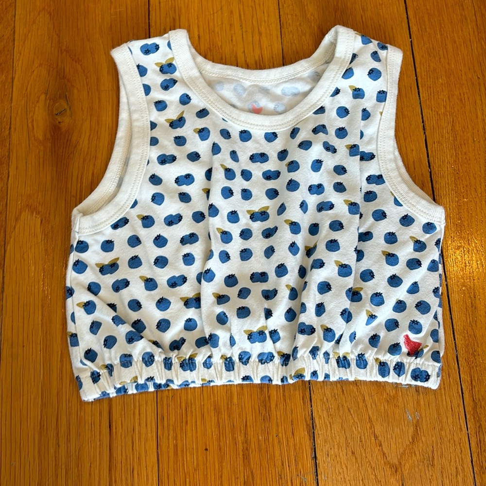 Pink Chicken 4Y Blueberry Crop Top
